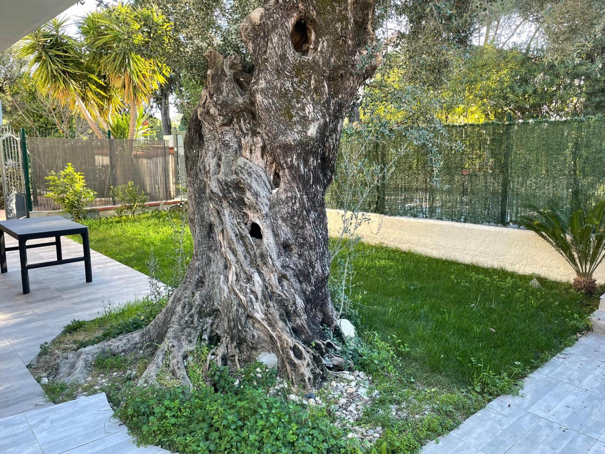 Joli Rez De Jardin 4 Pieces A Cagnes Sur Mer Extérieur photo
